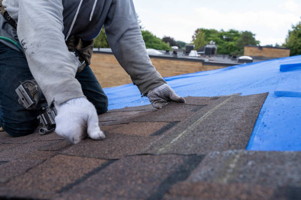 Best Commercial Roofing Services  in Terre Du Lac, MO