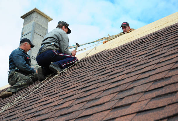 Best Flat Roof Repair Services  in Terre Du Lac, MO