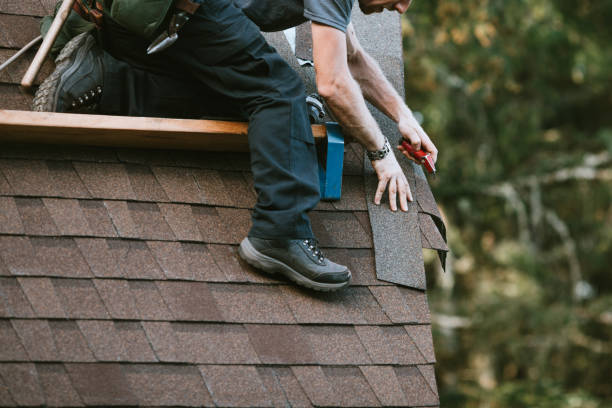Roof Gutter Cleaning in Terre Du Lac, MO